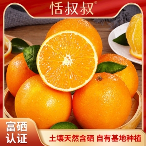 恬叔叔 新鮮贛南臍橙5kg精品果 現摘現發